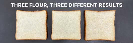 Which High Protein Flour is Right for You?